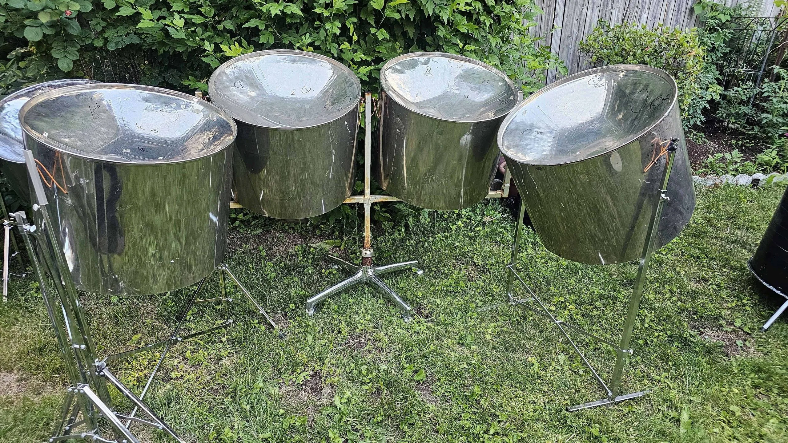 Four steelpan drums on metal stands are set up outdoors on a grassy area, suggesting a recent Steel Pan Tuning session, with bushes and a fence in the background.