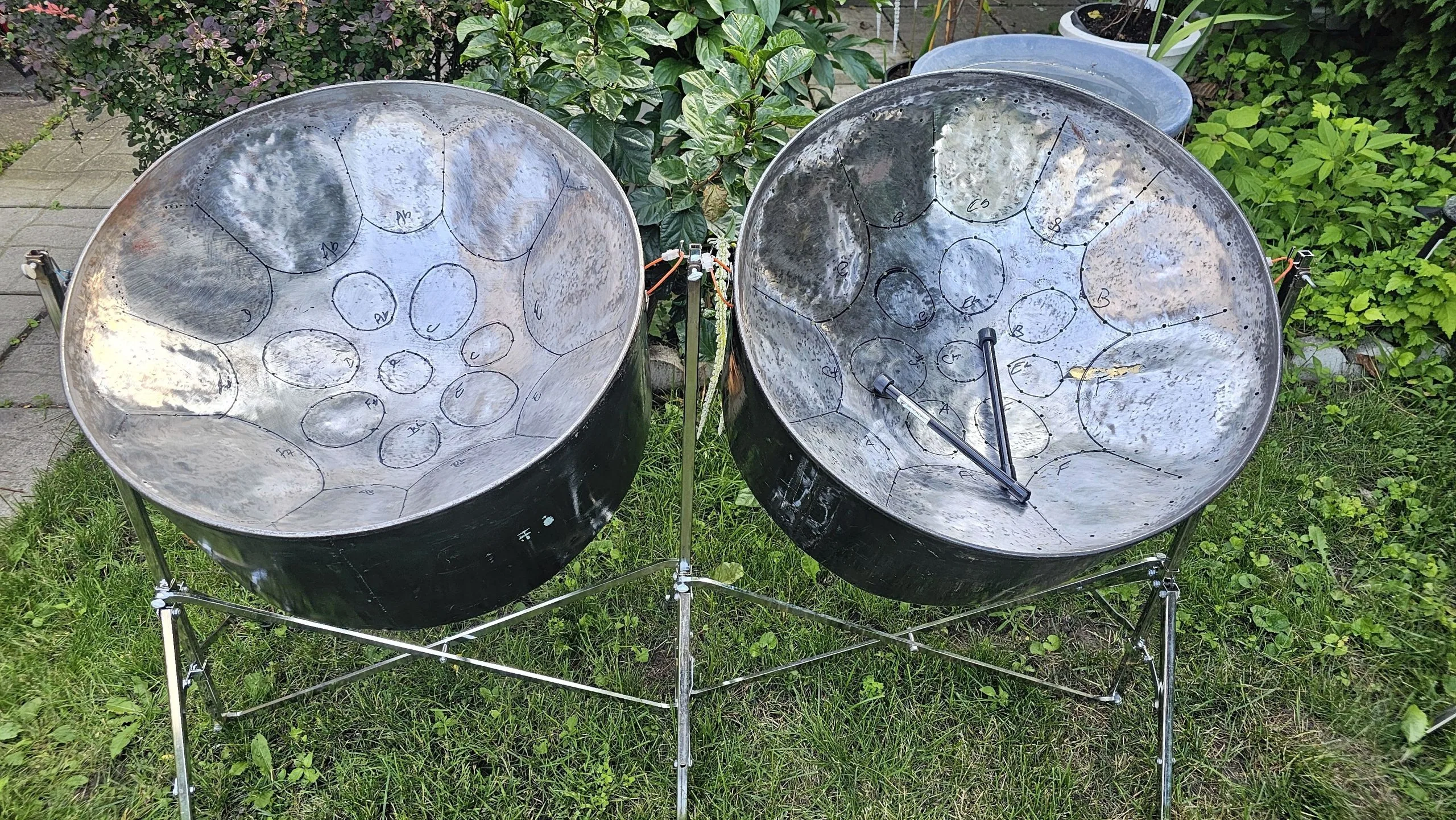 Two steelpan drums, expertly crafted by a skilled steel pan tuner, rest on a metal stand outdoors on the grass, surrounded by greenery and a paved path in the background.